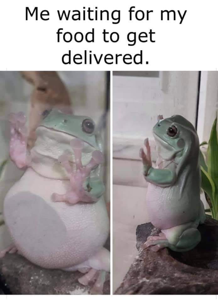 This meme features two images of a frog with a worried expression, one looking out of a window and the other looking out of a window with a "help" gesture. The text at the top of the meme reads, "Me waiting for my food to be delivered." The meme is a humorous take on the frustration and anticipation of waiting for food to arrive at your doorstep.